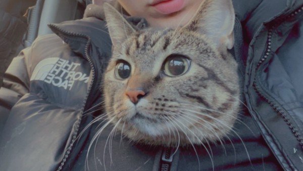 Mimi