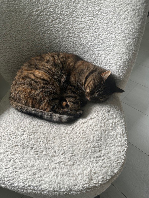 Mimi
