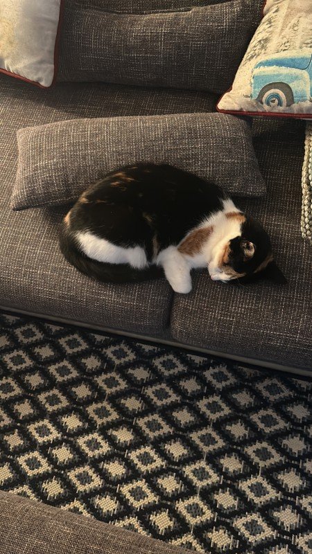Zosia