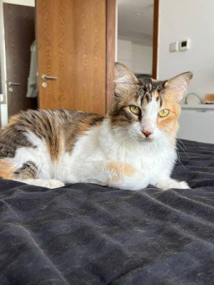 Cleopatra