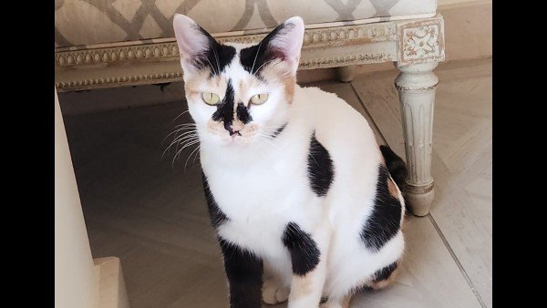 Marble