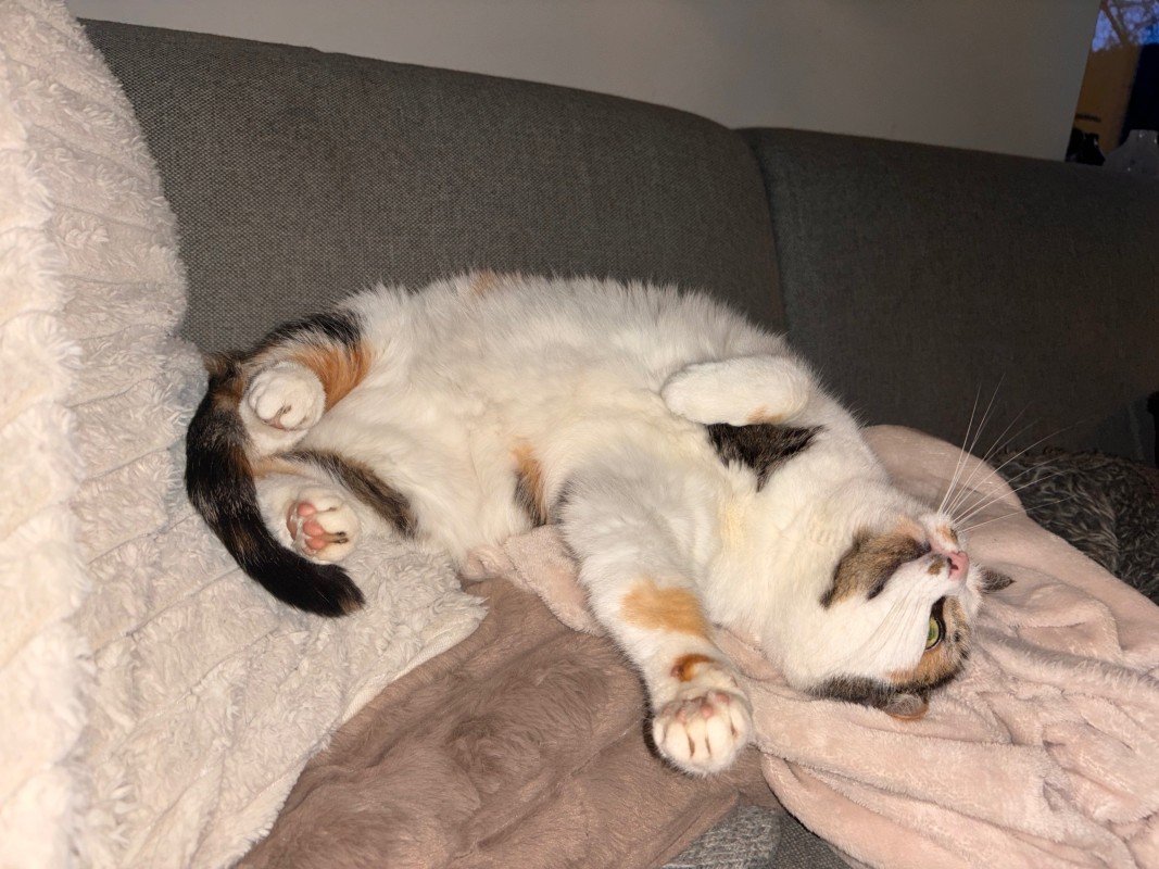 Fluffy