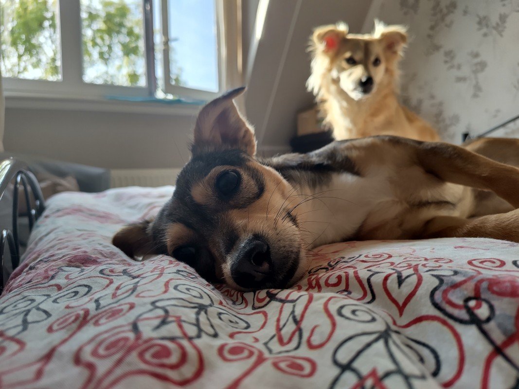 Luna