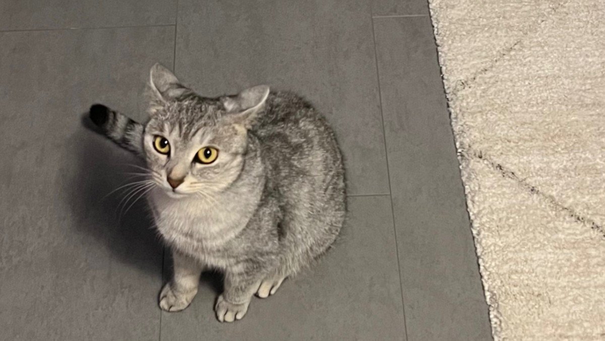 Lulu