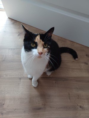 Sam