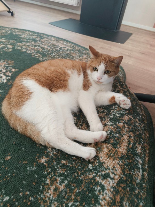 Sam