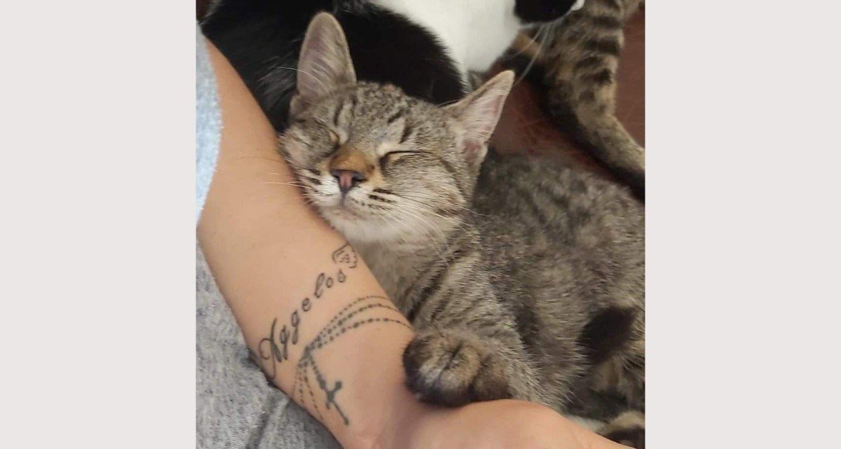 Minnie