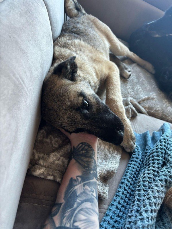 Mala