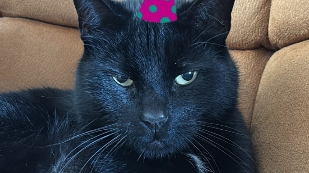 Jari
