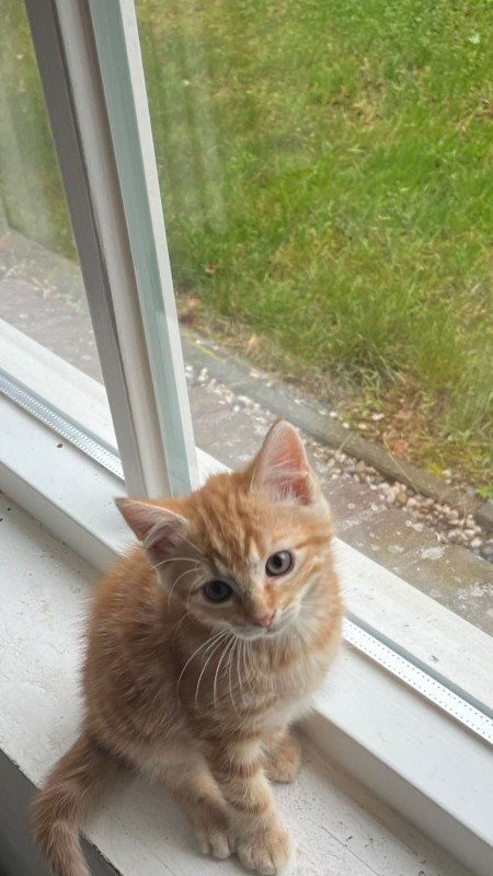 Jack