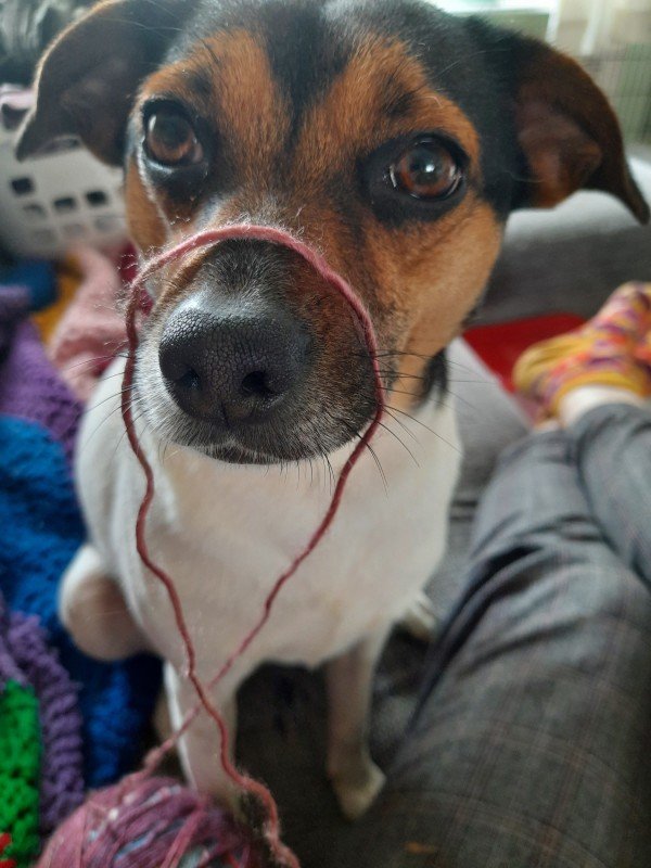 Bella