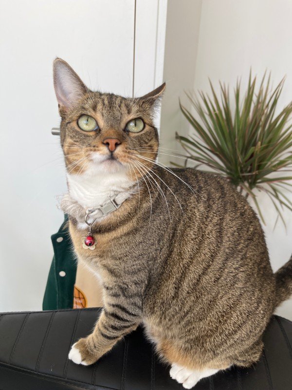 Luna