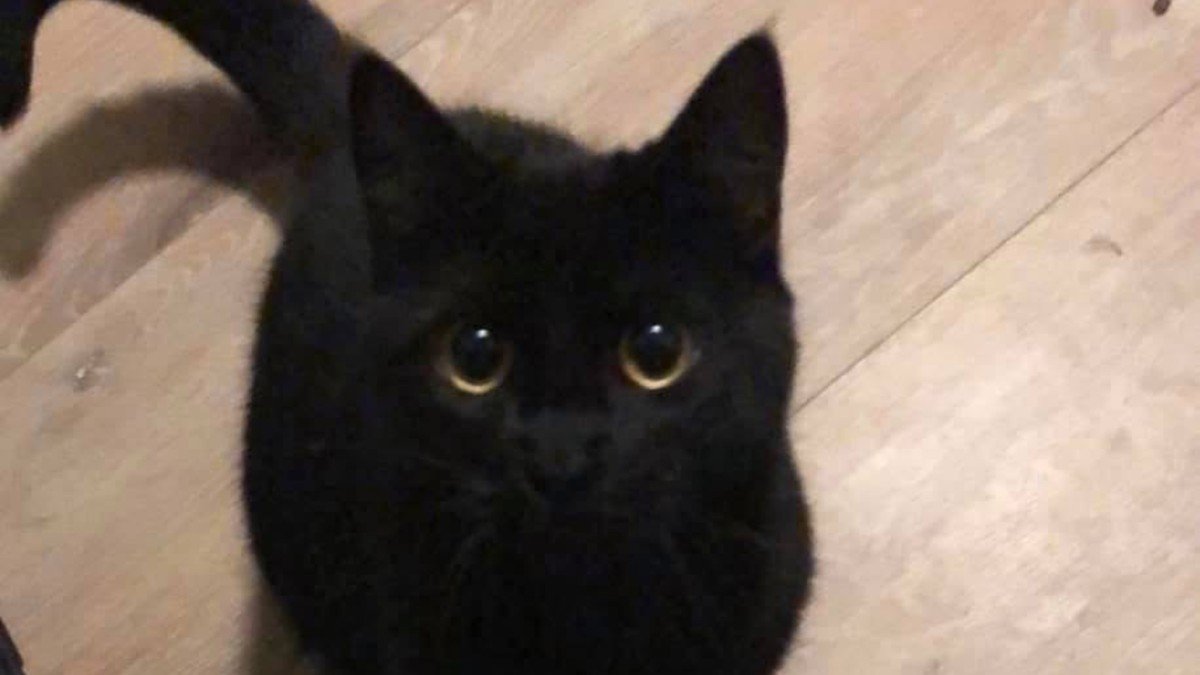 Selina