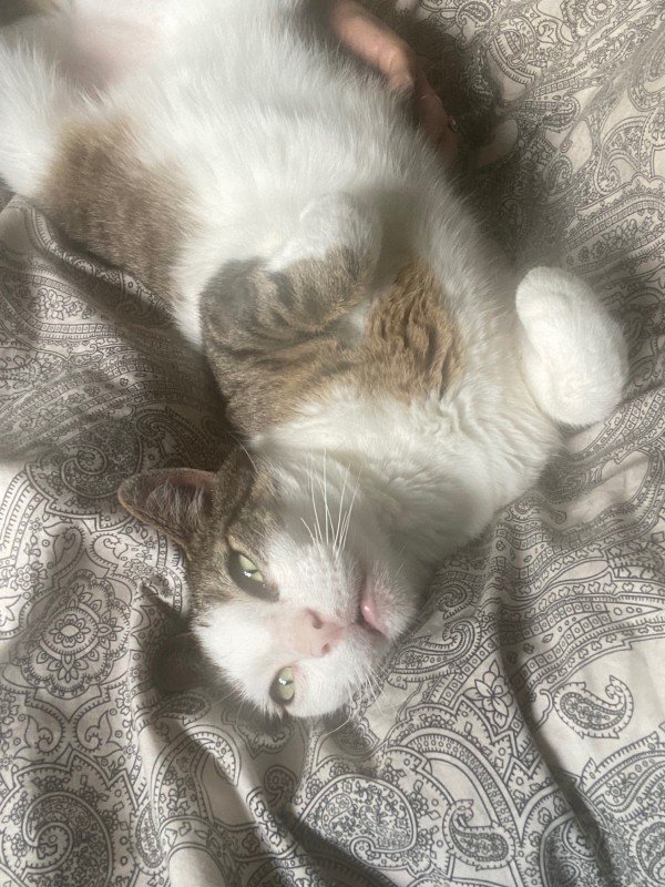 Billy