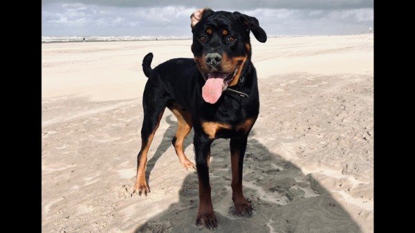 Max
