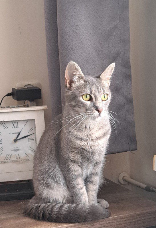 Odette