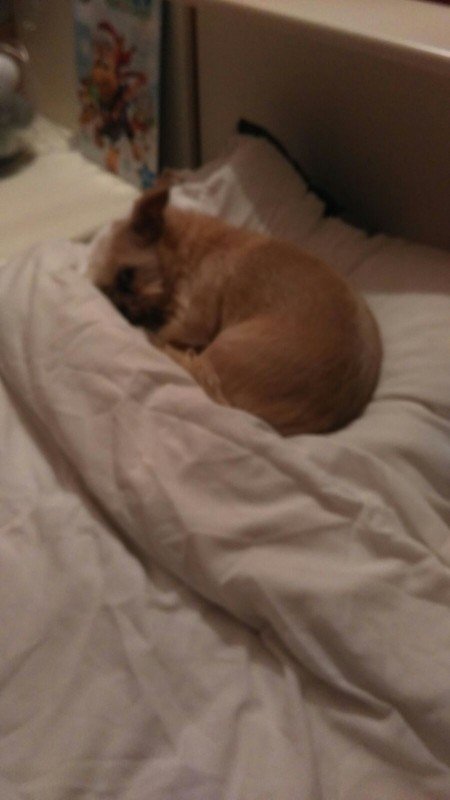 Charlie