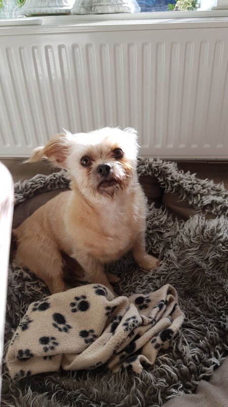 Charlie