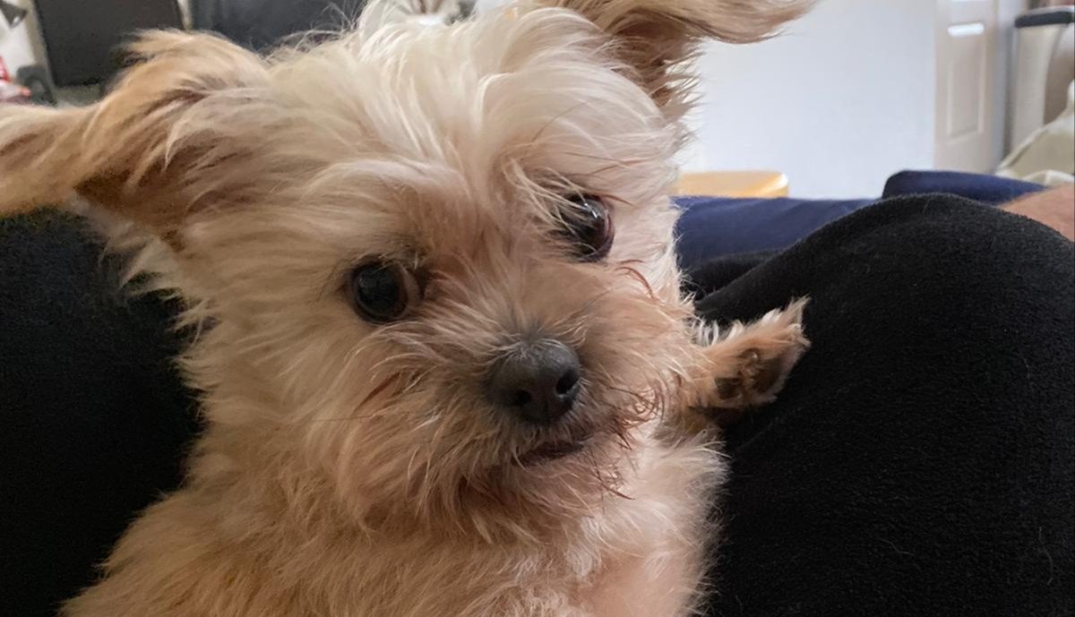 Charlie