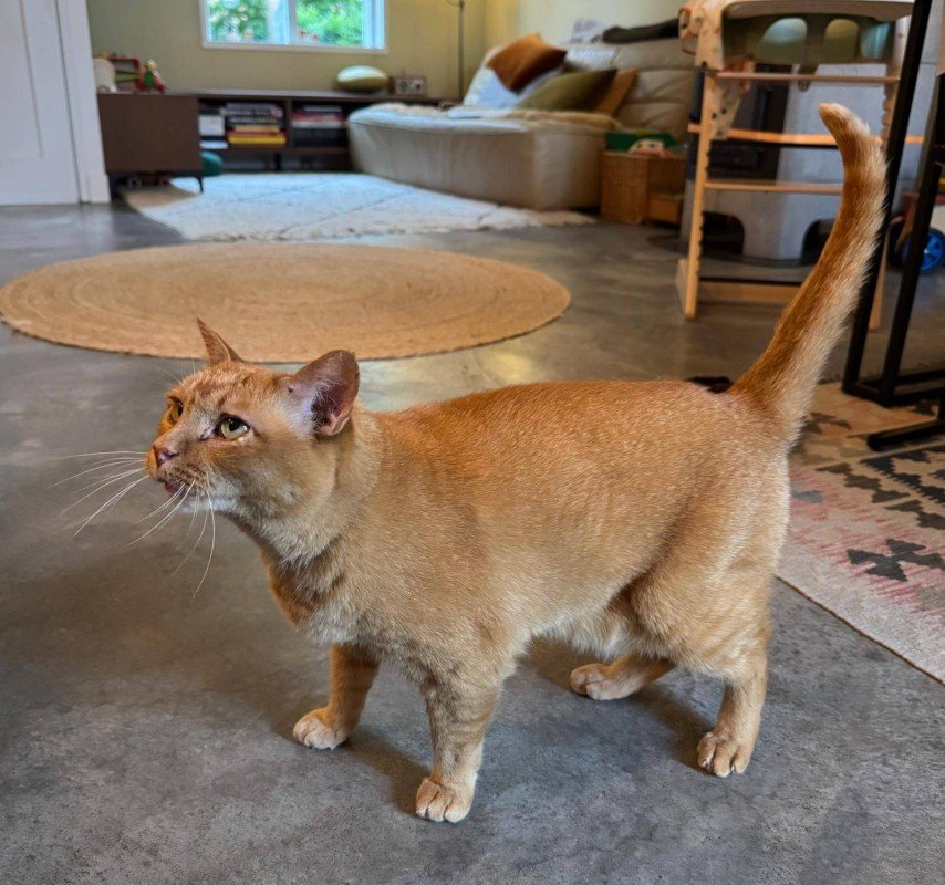 Sammy