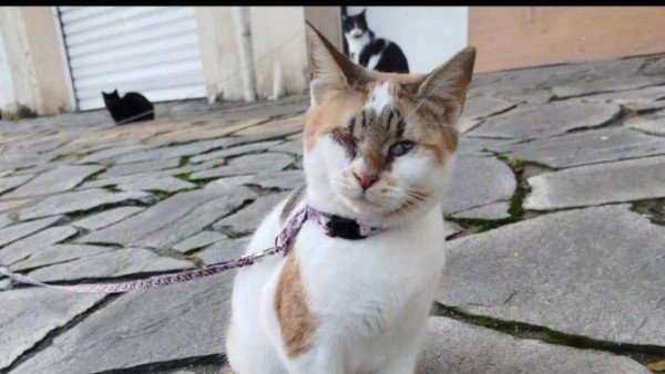 Jinx
