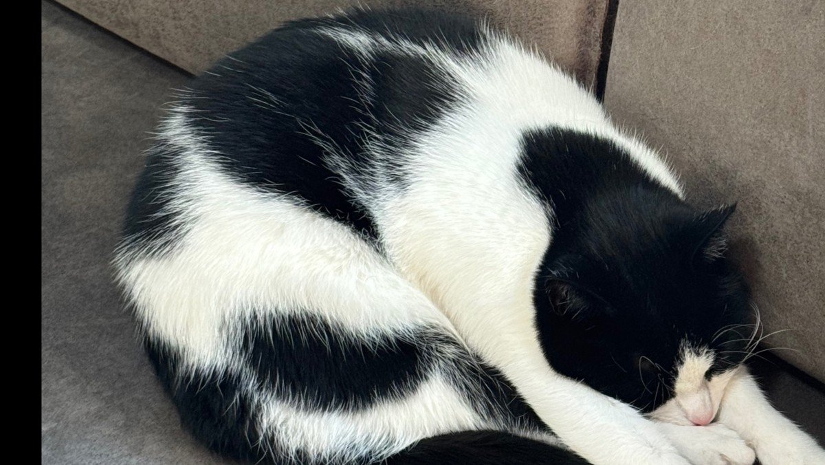 Milo