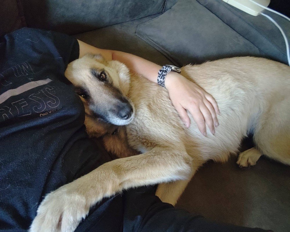 Molly
