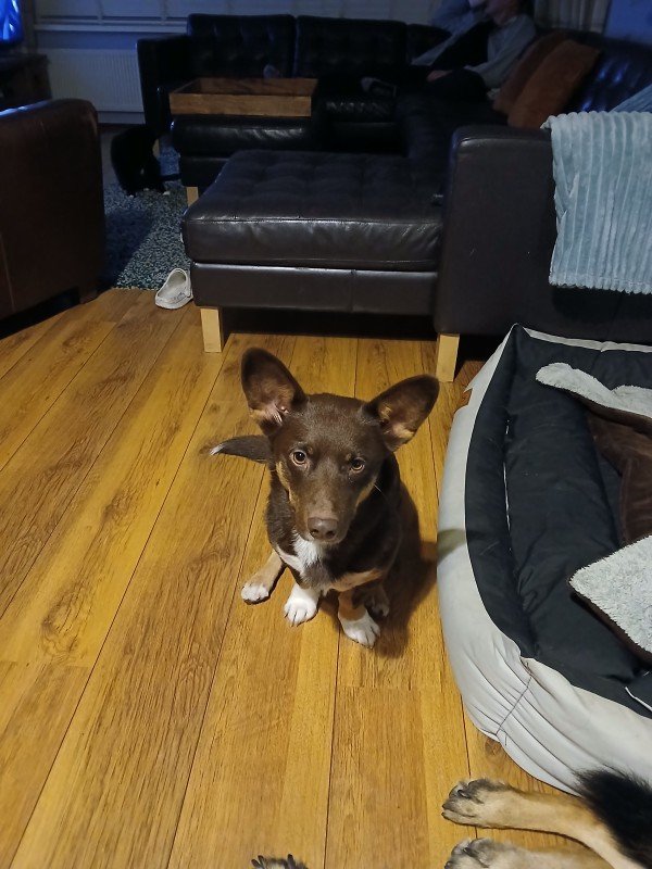 Chester