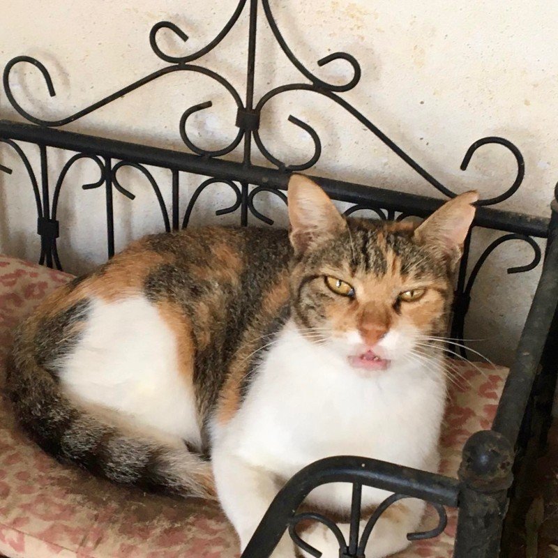 Minouska