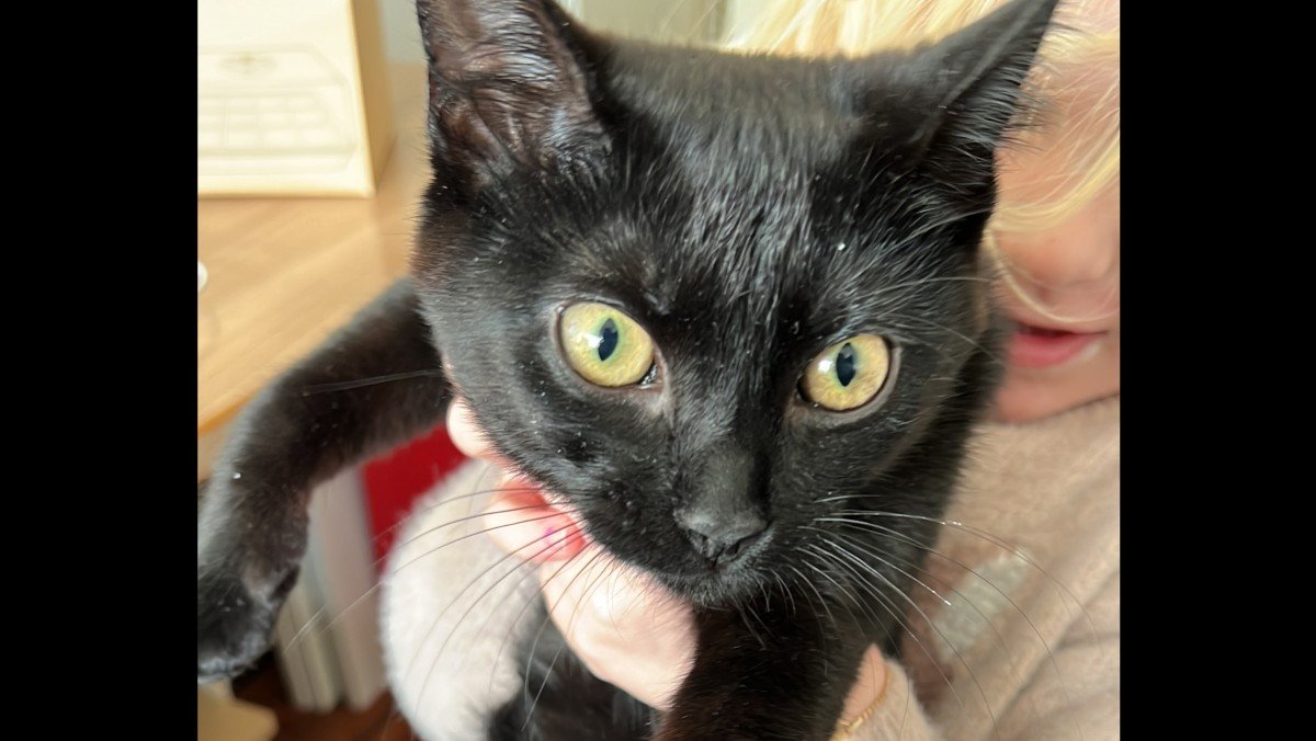 Pip