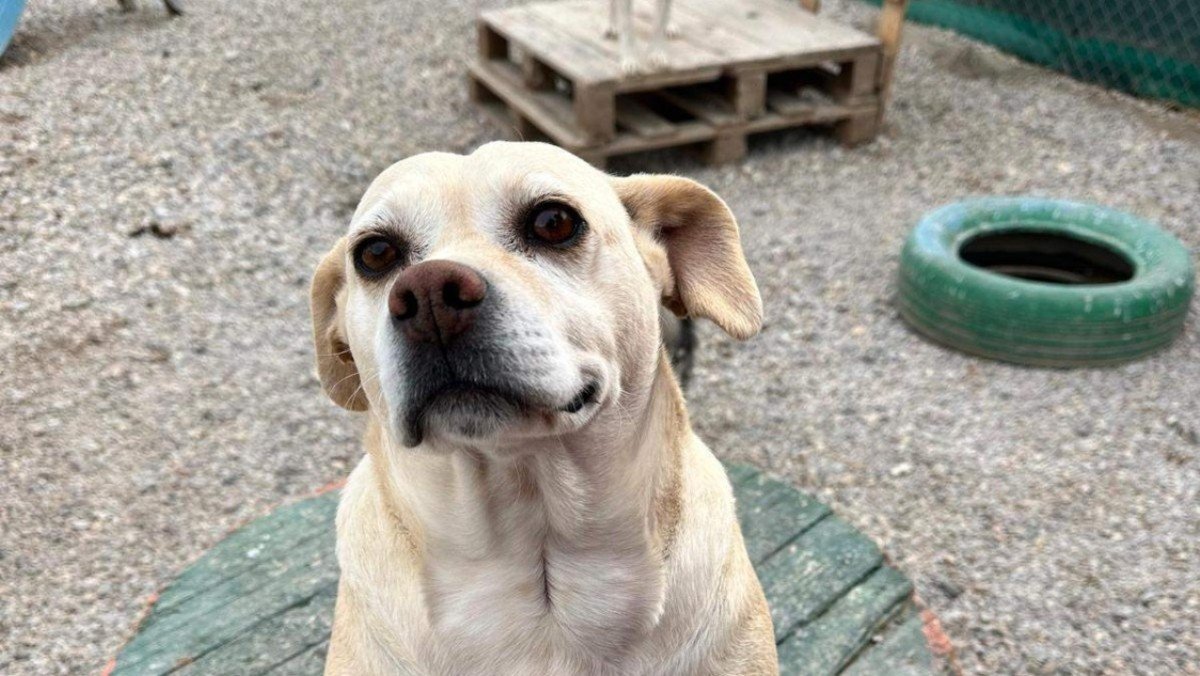 Mimi