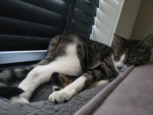 Gijs