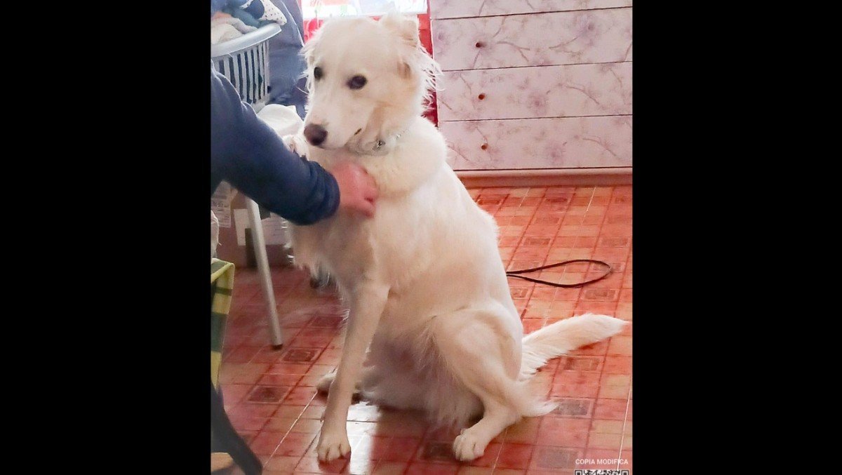 Alma