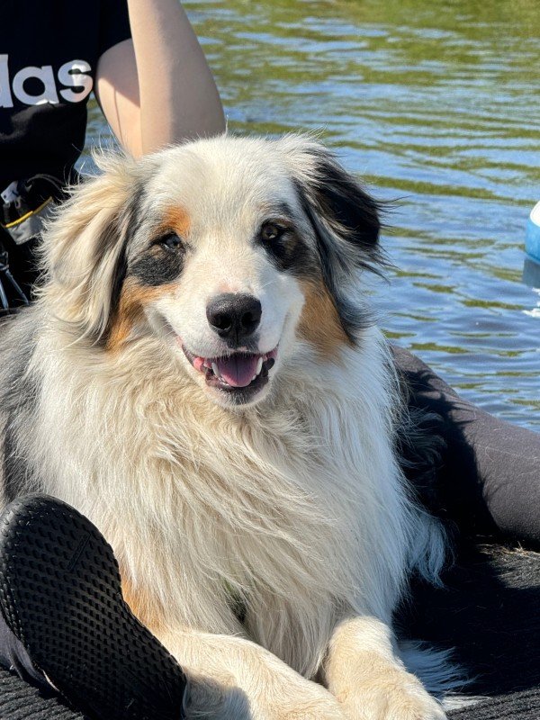 Benji
