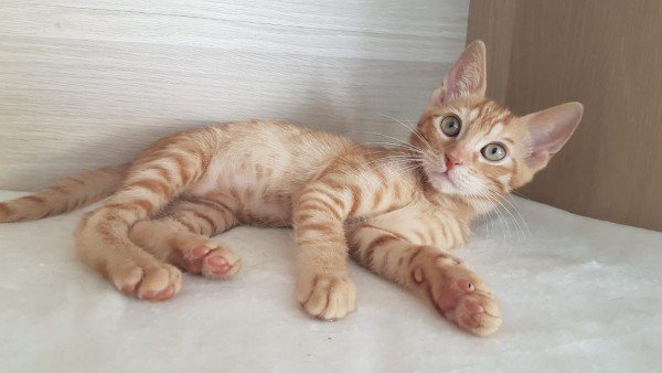 Minu