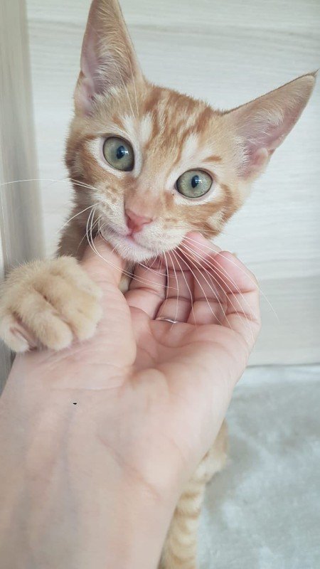 Minu