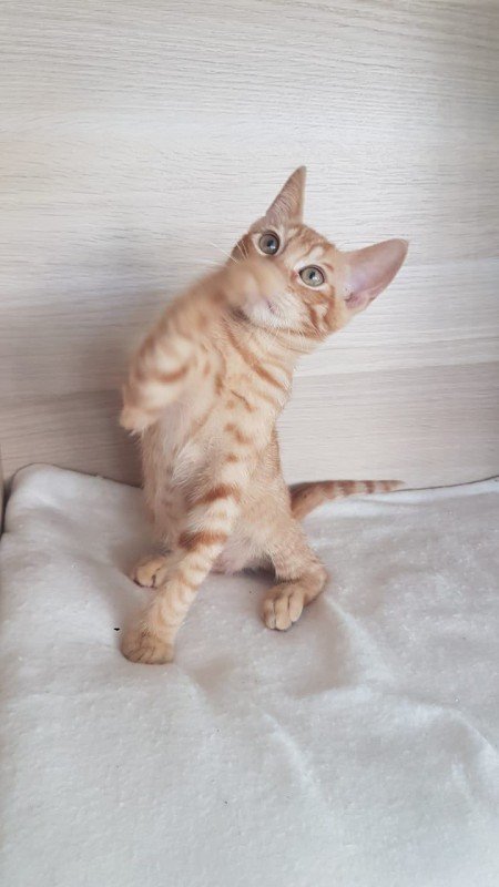 Minu
