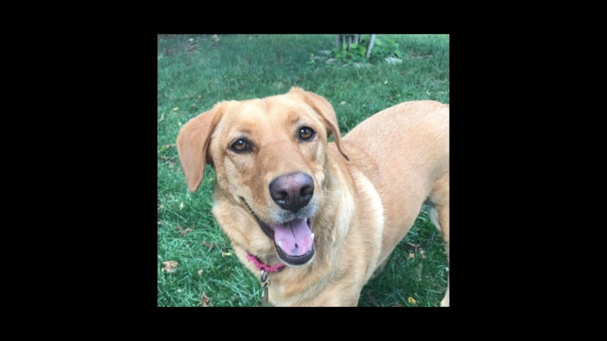 Lili