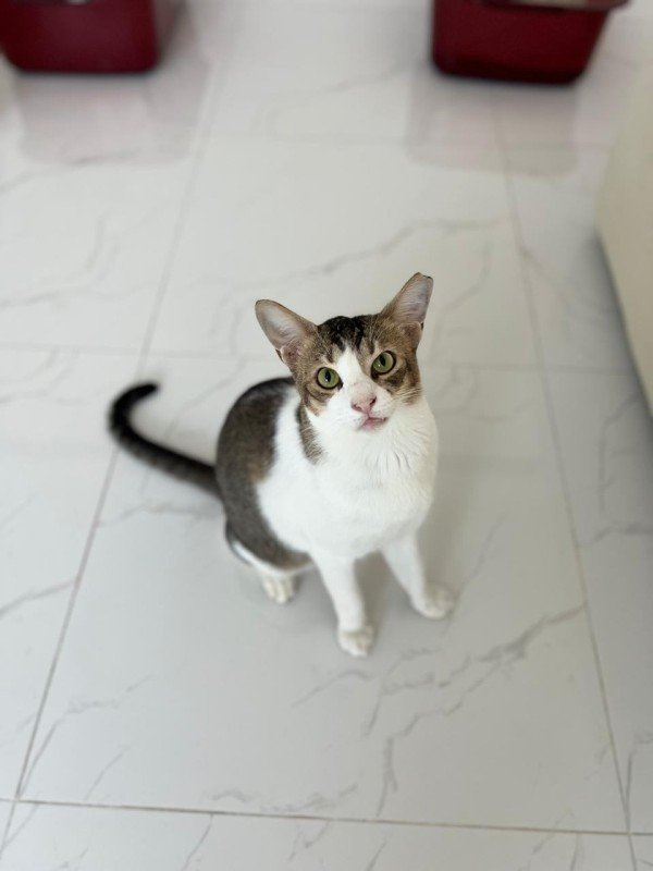 Pablo