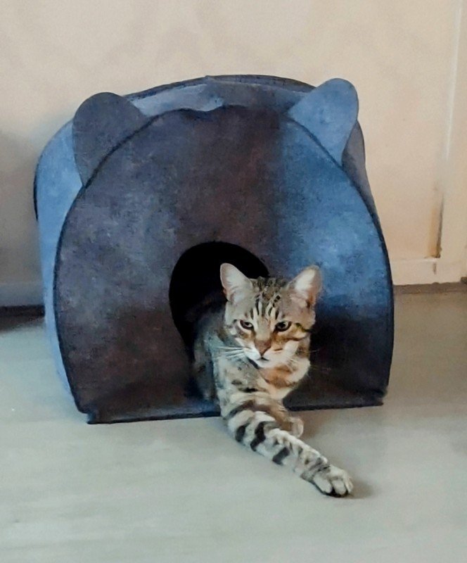 Max