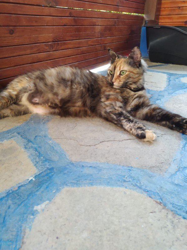 Lucy