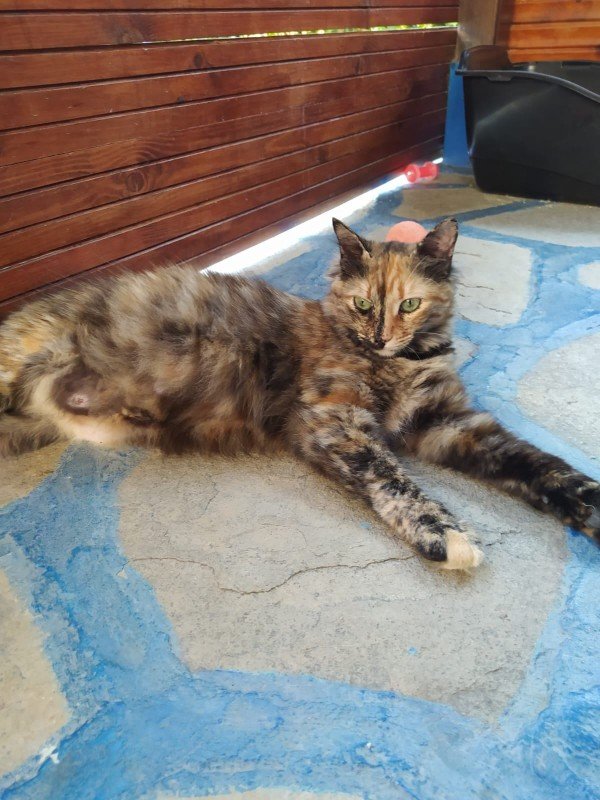 Lucy