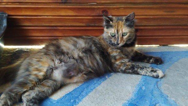 Lucy