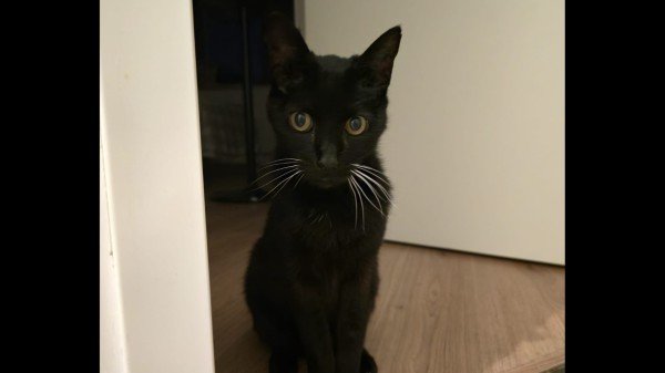 Neo