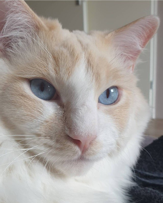 Marley
