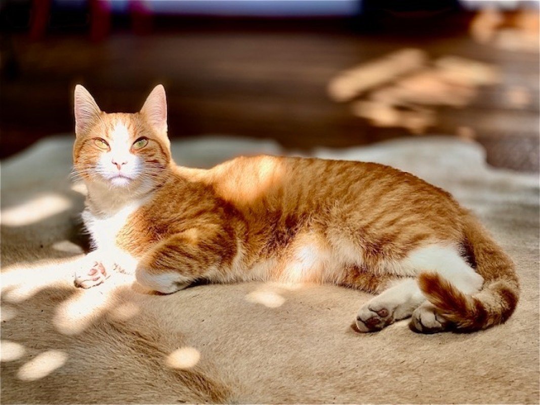 Eddy