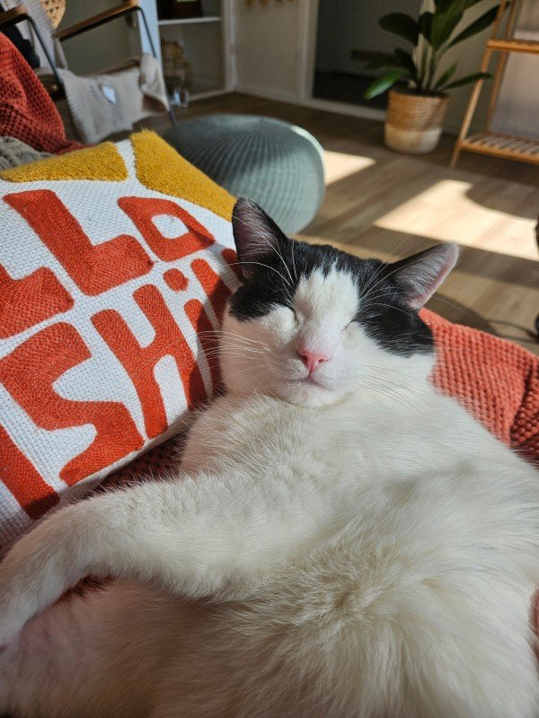 Monty