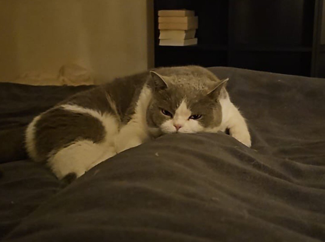 Seb