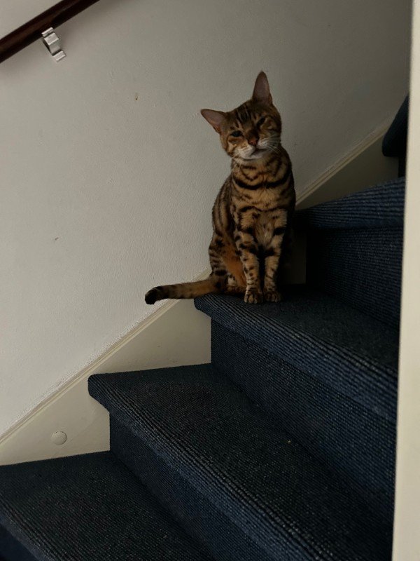 Pixel