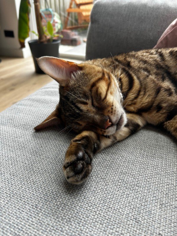 Pixel